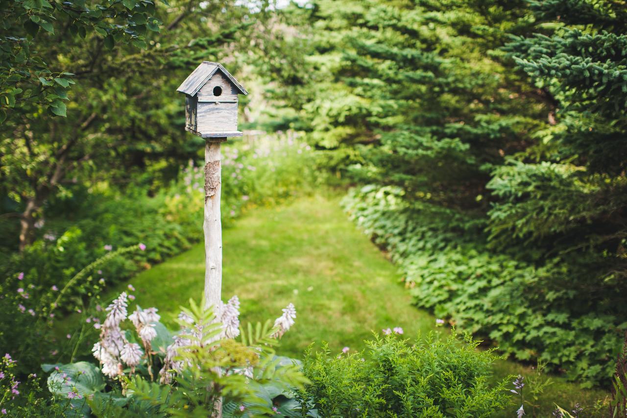 Abbie'S Garden Bed & Breakfast Grand Bank Bagian luar foto