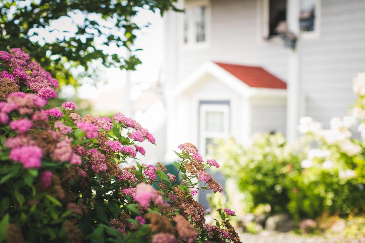 Abbie'S Garden Bed & Breakfast Grand Bank Bagian luar foto