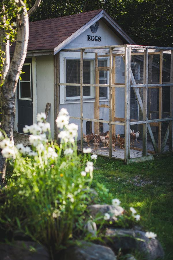 Abbie'S Garden Bed & Breakfast Grand Bank Bagian luar foto